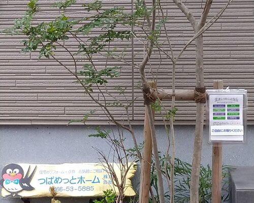 チラシ