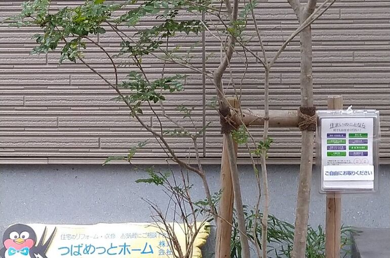 チラシ